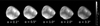 Thumbnail: Fig. 1 Refer to the following caption and surrounding text.