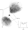 Thumbnail: Fig. 9 Refer to the following caption and surrounding text.