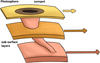 Thumbnail: Fig. 1 Refer to the following caption and surrounding text.