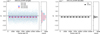 Thumbnail: Fig. 3 Refer to the following caption and surrounding text.