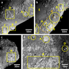 Thumbnail: Fig. 11 Refer to the following caption and surrounding text.