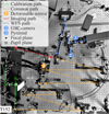 Thumbnail: Fig. 3 Refer to the following caption and surrounding text.