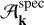 Mathematical equation: $\[\mathcal{A}_{\mathbf{k}}^{\text {spec}}\]$