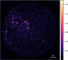 Thumbnail: Fig. 12 Refer to the following caption and surrounding text.