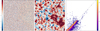 Thumbnail: Fig. B.1 Refer to the following caption and surrounding text.