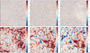 Thumbnail: Fig. B.3 Refer to the following caption and surrounding text.