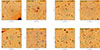 Thumbnail: Fig. 1. Refer to the following caption and surrounding text.