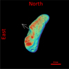 Thumbnail: Fig. 5 Refer to the following caption and surrounding text.
