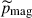 Mathematical equation: $ \widetilde{p}_{\mathrm{mag}} $