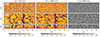 Thumbnail: Fig. 4. Refer to the following caption and surrounding text.
