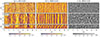 Thumbnail: Fig. 7. Refer to the following caption and surrounding text.