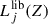 Mathematical equation: $ L_{j}^{\mathrm{lib}}(Z) $