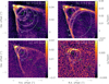 Thumbnail: Fig. 4 Refer to the following caption and surrounding text.