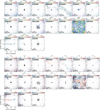 Thumbnail: Fig. A.9 Refer to the following caption and surrounding text.
