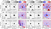 Thumbnail: Fig. 4. Refer to the following caption and surrounding text.