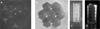 Thumbnail: Fig. 16 Refer to the following caption and surrounding text.