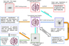 Thumbnail: Fig. 2 Refer to the following caption and surrounding text.