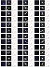 Thumbnail: Fig. B.1. Refer to the following caption and surrounding text.