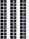 Thumbnail: Fig. B.2. Refer to the following caption and surrounding text.