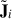 Mathematical equation: $ \tilde{\mathbf{J}}_i $
