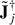 Mathematical equation: $ \tilde{\mathbf{J}}^{\dagger}_j $