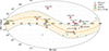 Thumbnail: Fig. 1. Refer to the following caption and surrounding text.