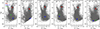 Thumbnail: Fig. 7. Refer to the following caption and surrounding text.