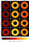 Thumbnail: Fig. 4 Refer to the following caption and surrounding text.