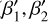 Mathematical equation: $\[\beta_{1}^{\prime}, \beta_{2}^{\prime}\]$