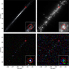 Thumbnail: Fig. 6 Refer to the following caption and surrounding text.