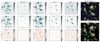 Thumbnail: Fig. 8 Refer to the following caption and surrounding text.