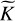 Mathematical equation: $\mathop K\limits^ $