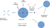 Thumbnail: Fig. 2 Refer to the following caption and surrounding text.