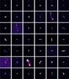 Thumbnail: Fig. A.1 Refer to the following caption and surrounding text.