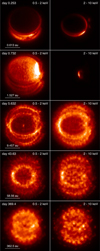 Thumbnail: Fig. 5 Refer to the following caption and surrounding text.