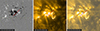 Thumbnail: Fig. 1. Refer to the following caption and surrounding text.