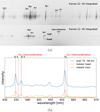Thumbnail: Fig. 10 Refer to the following caption and surrounding text.