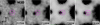 Thumbnail: Fig. 5 Refer to the following caption and surrounding text.