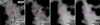Thumbnail: Fig. 7 Refer to the following caption and surrounding text.