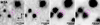 Thumbnail: Fig. 9 Refer to the following caption and surrounding text.