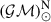 $ (\mathcal{GM})^{\mathrm{N}}_{\odot} $
