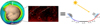 Thumbnail: Fig. 2 Refer to the following caption and surrounding text.