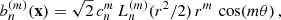 Mathematical equation: $$ \begin{aligned} b_n^{(m)}(\mathbf{x }) = {\sqrt{2}}\,c_n^m\,L_n^{(m)}(r^2/2)\,r^m\,\cos (m\theta )\,, \end{aligned} $$