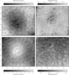 Thumbnail: Fig. 2 Refer to the following caption and surrounding text.