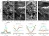 Thumbnail: Fig. 5 Refer to the following caption and surrounding text.