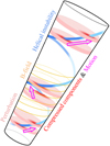 Thumbnail: Fig. 11. Refer to the following caption and surrounding text.