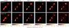 Thumbnail: Fig. A.1. Refer to the following caption and surrounding text.