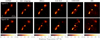 Thumbnail: Fig. 3. Refer to the following caption and surrounding text.