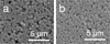 Thumbnail: Fig. 5 Refer to the following caption and surrounding text.