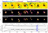 Thumbnail: Fig. 12. Refer to the following caption and surrounding text.